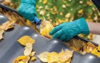 Conifer Gutter Services: Cleaning autumn leaves from rooftop gutters to ensure proper water flow and prevent damage to your home’s exterior this season.