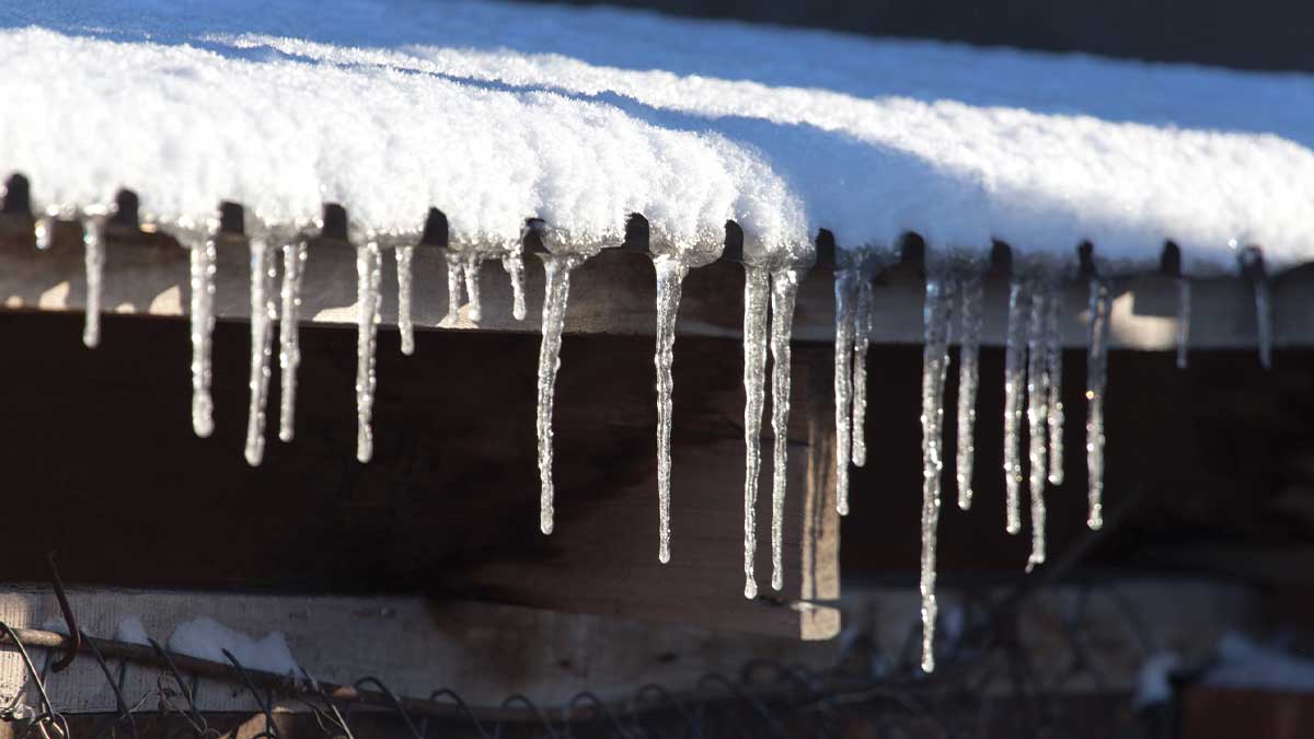 Gutter Snow Loads Icicles hanging from snow-covered roof - Gutter Snow Loads