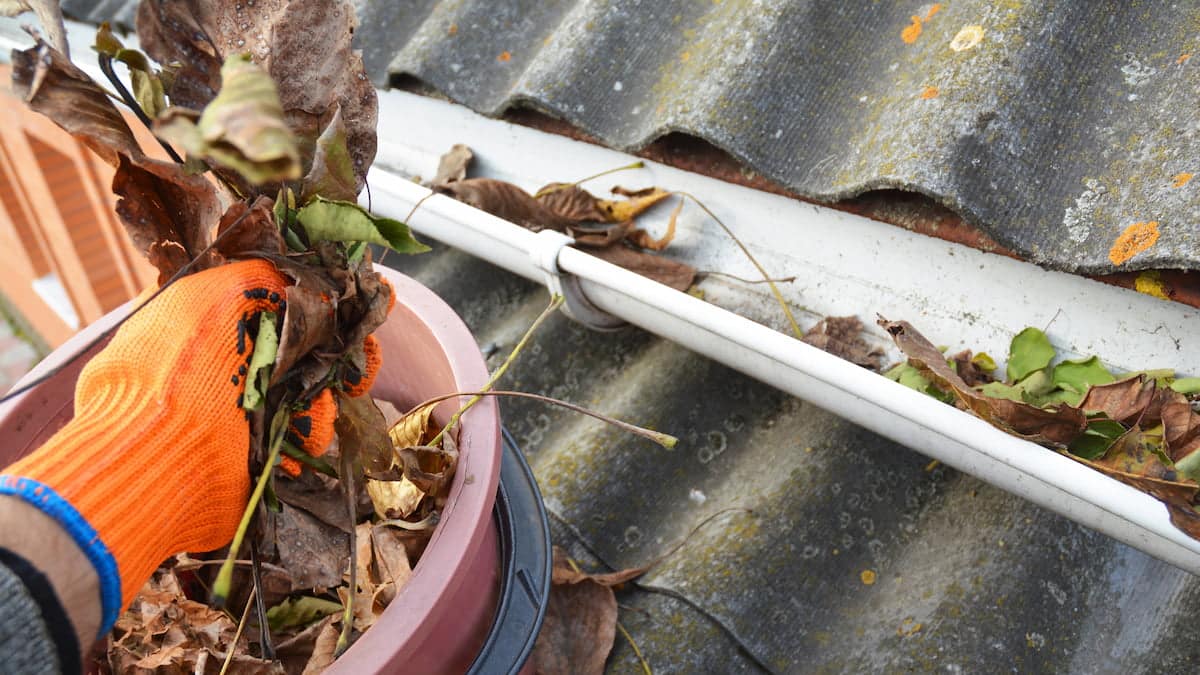 Cleaning leaves from a roof gutter